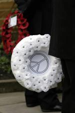 Peaceful Protest © Don Tonge