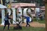 RHS Cardiff 2018 © Ffion Llwyd-Jones