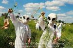 Alien Crops &copy; Andrew Wiard