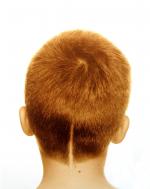 Untitled &copy; RJ Anderson